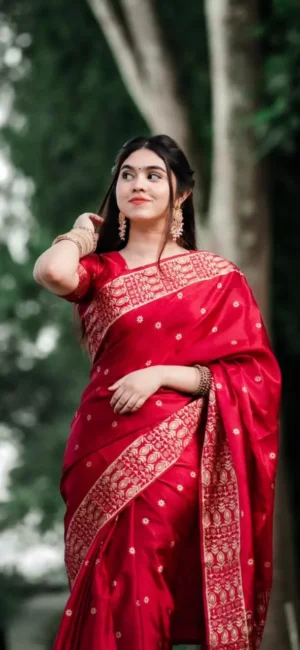 প্রিমিয়াম জাপানি সিল্ক  + ব্লাউজ পিস  [JP- 1702]